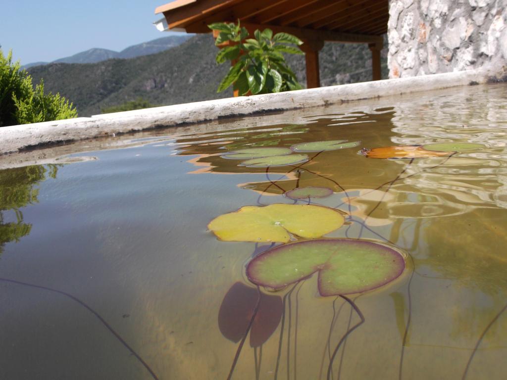 Sivros Stone Cottages المظهر الخارجي الصورة
